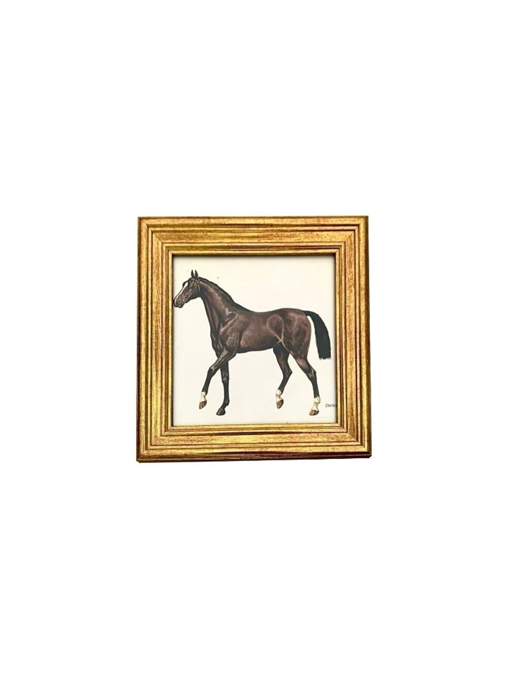 Horse Art Vintage Print in Gold Frame Equestrian Decor
